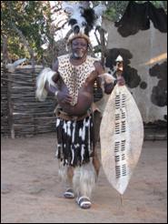 Shakaland chief - Zuid Afrika